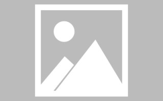 青海新区景区网站建设（in art criticism,you must assume）